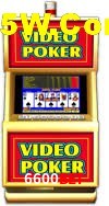 Statistics 6600Bet